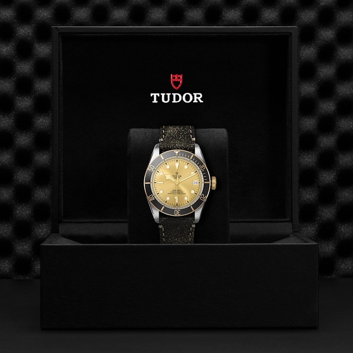 Tudor Black Bay S&G